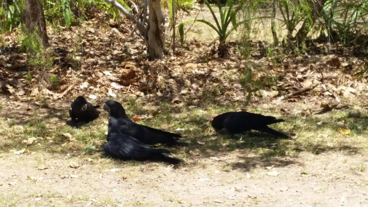 Shambhala Retreat Magnetic Island Cottages Nelly Bay エクステリア 写真